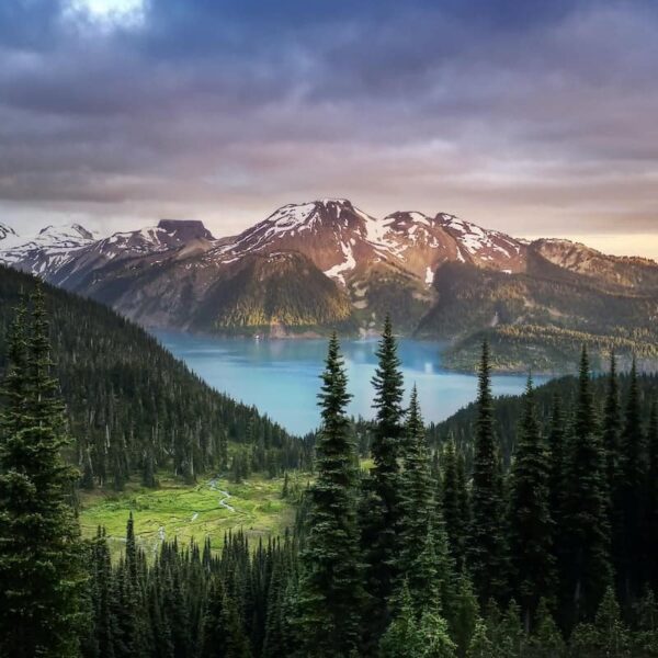 British Columbia Approaches Skilled Worker Invitation Cap in 2025