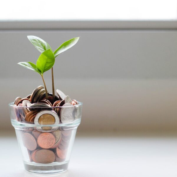 Calculate FWHIT Earnings for ENS 186 Visa Exemption Guide