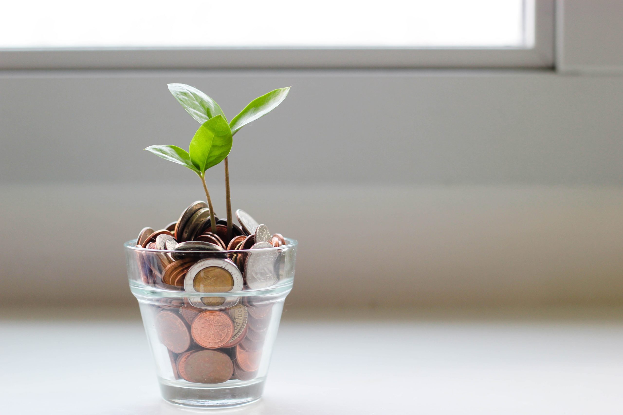 Calculate FWHIT Earnings for ENS 186 Visa Exemption Guide