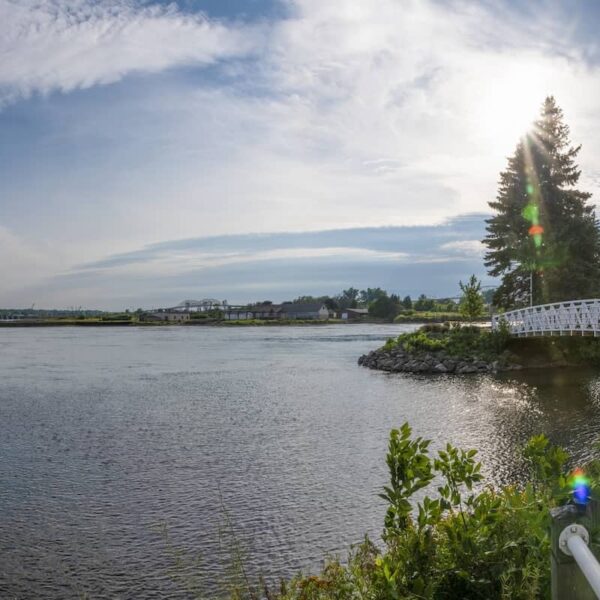 Sault Ste Marie Unveils Designated Employers for Rural PR Pathway