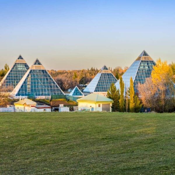 Alberta Conducts Five Immigration Draws in Just Two Weeks
