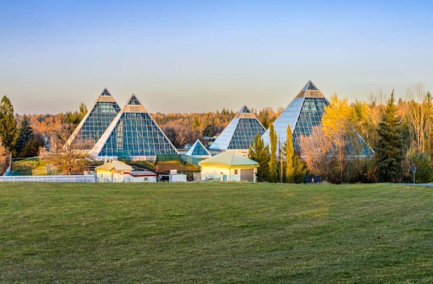 Alberta Conducts Five Immigration Draws in Just Two Weeks