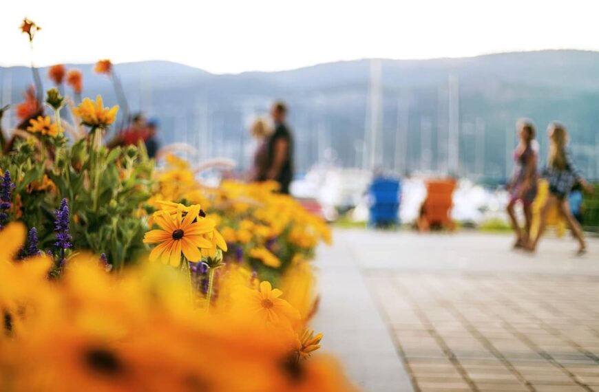 British Columbia Invites Entrepreneurs for Immigration Nomination