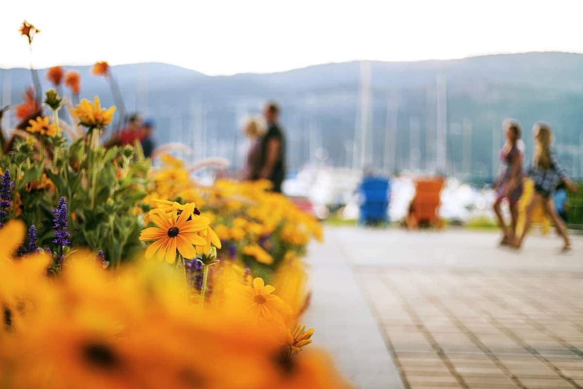 British Columbia Invites Entrepreneurs for Immigration Nomination