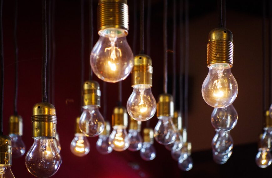 Explore the National Innovation Visa: Key Updates and Insights