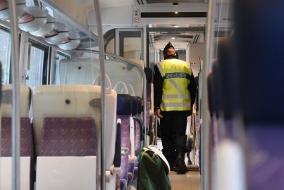 French Police Detain 700 Foreigners in Nationwide Sweep