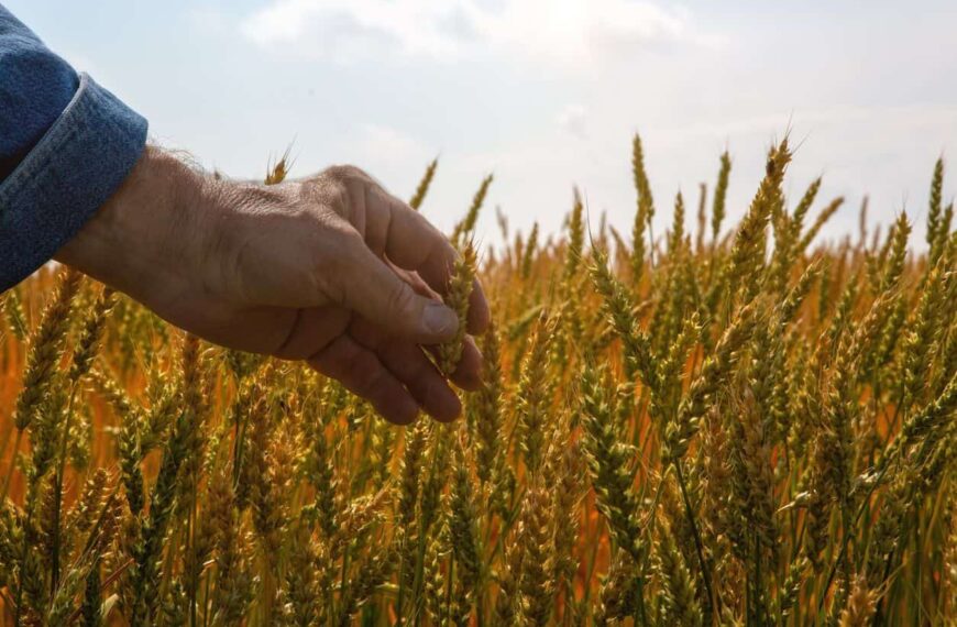 New Foreign Worker Stream for Agriculture and Fish Processing