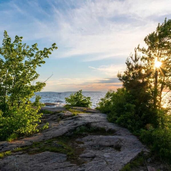 North Bay Unveils Designated Employers for Rural Residency Pathway