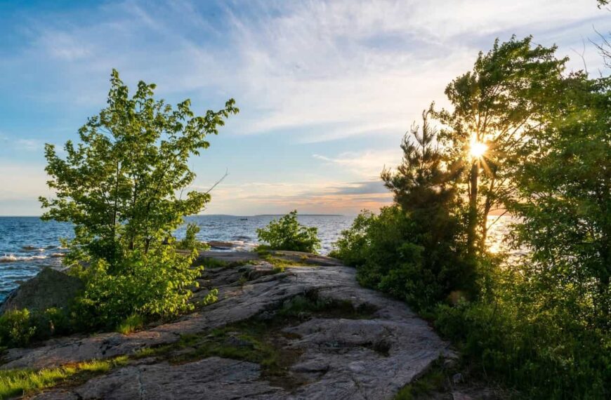 North Bay Unveils Designated Employers for Rural Residency Pathway