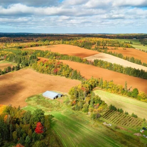 Prince Edward Island Expands Immigration Opportunities for Candidates