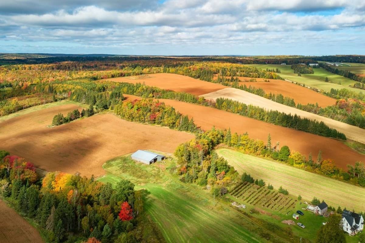 Prince Edward Island Expands Immigration Opportunities for Candidates