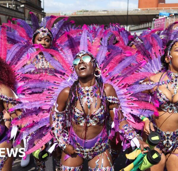 Windrush Activists Support Notting Hill Carnival Funding Request