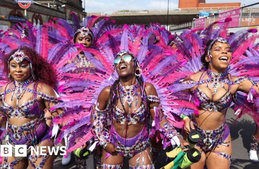 Windrush Activists Support Notting Hill Carnival Funding Request