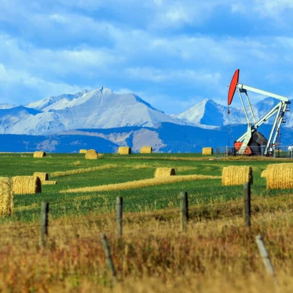 Alberta Welcomes Hundreds of Foreign Workers in Latest Draws