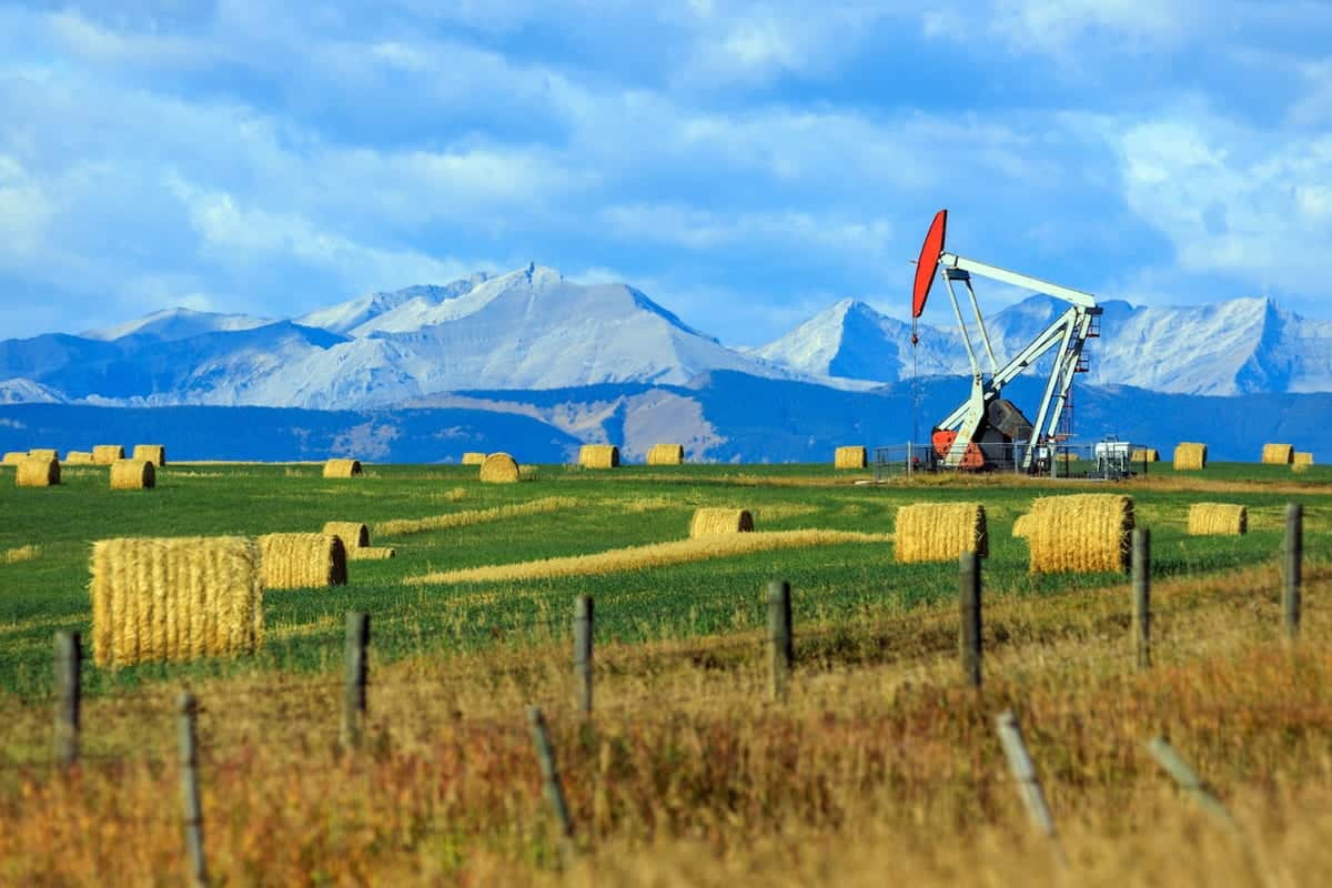 Alberta Welcomes Hundreds of Foreign Workers in Latest Draws