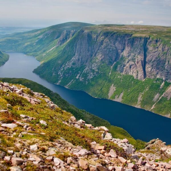 Newfoundland and Labrador Invites PNP and AIP Candidates