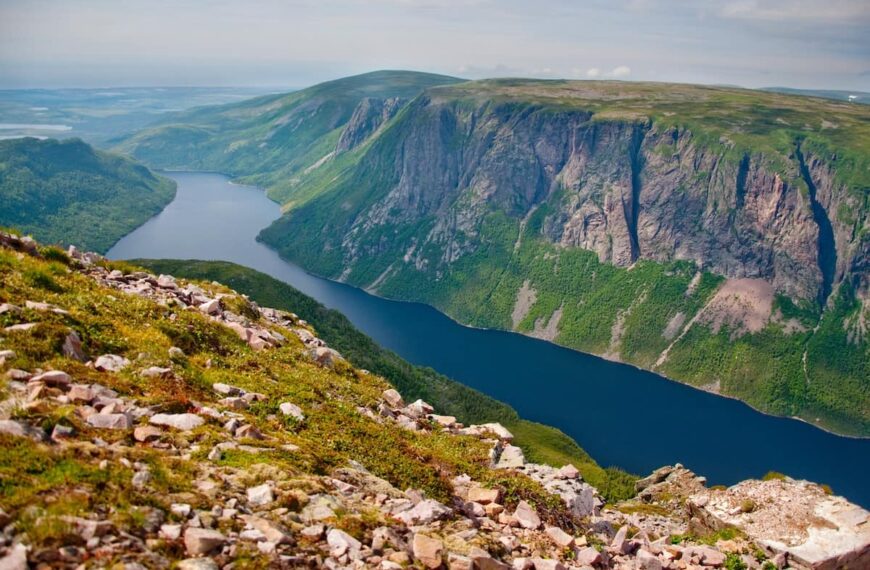 Newfoundland and Labrador Invites PNP and AIP Candidates