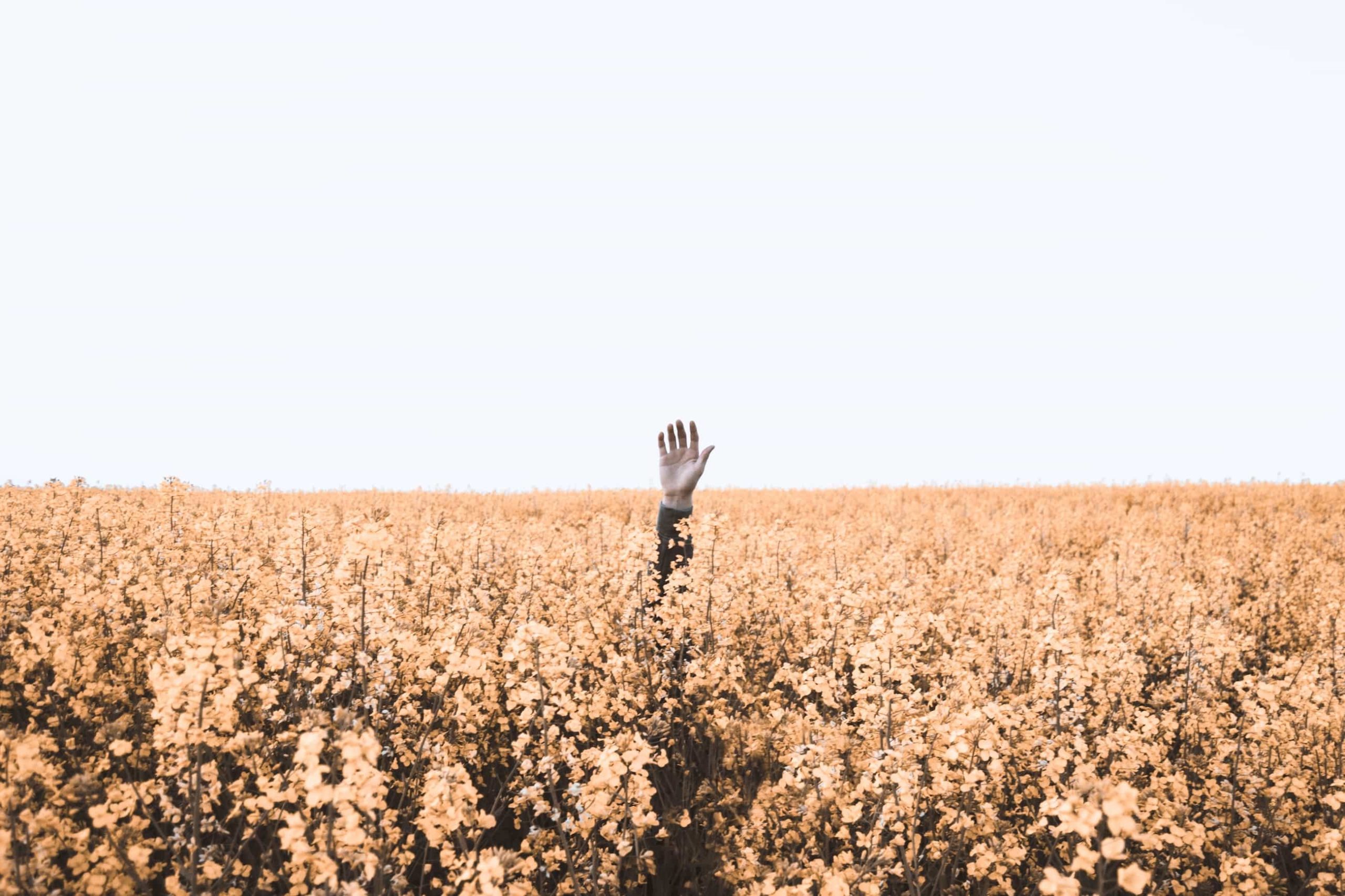 Understanding Immigration Detention for Non-Citizens in Australia