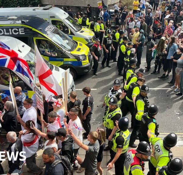 Bristol Immigration Protest: Woman Released After Arrest