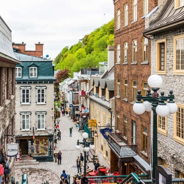 Quebec Invites Skilled Workers: Opportunities for Manual Laborers