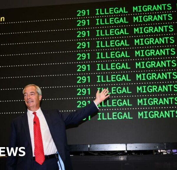 Reform's Impact on the Immigration Debate: Key Insights