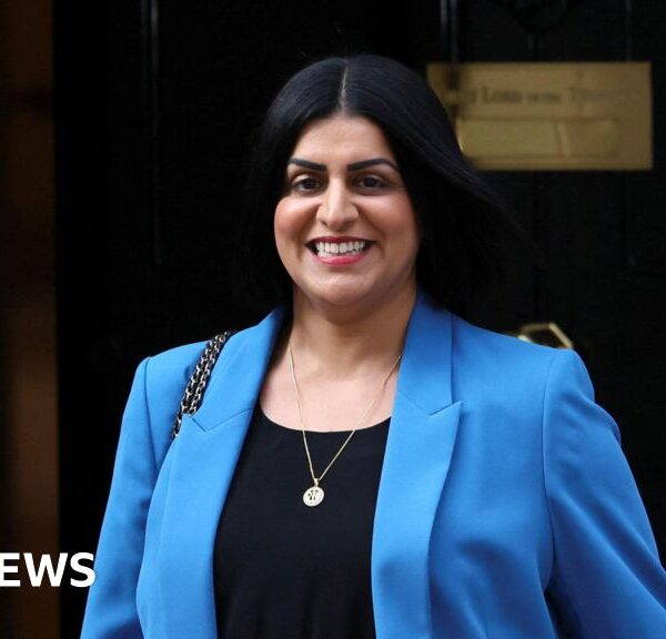 New Home Secretary Shabana Mahmood's Impact on Immigration Policy