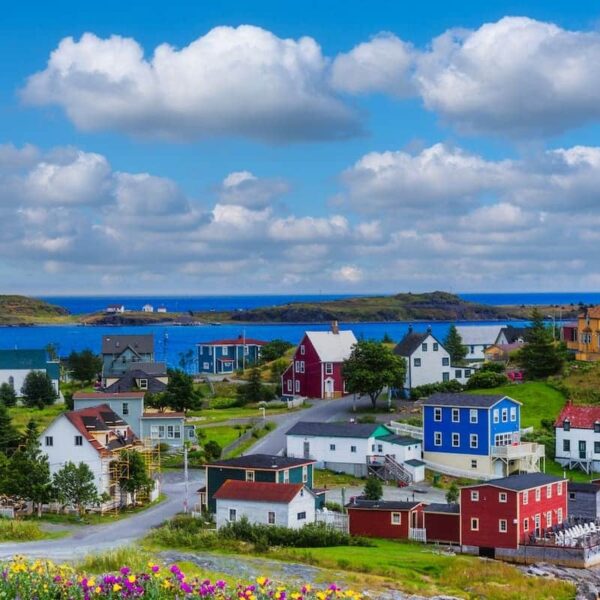 Newfoundland and Labrador Invites 200+ PNP and AIP Candidates